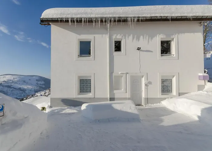 Parme Appt Spacieux Et Calme Plein Sud, Vue Panoramique La Bresse